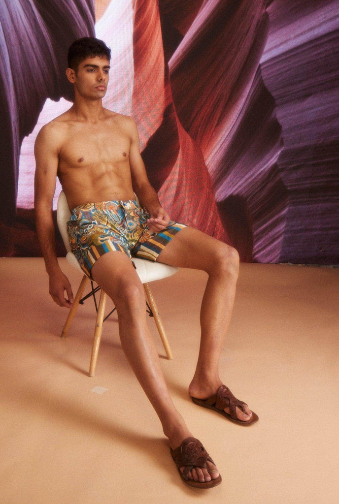 EARTH MULTI SWIM SHORTS - dash and dot dash and dot