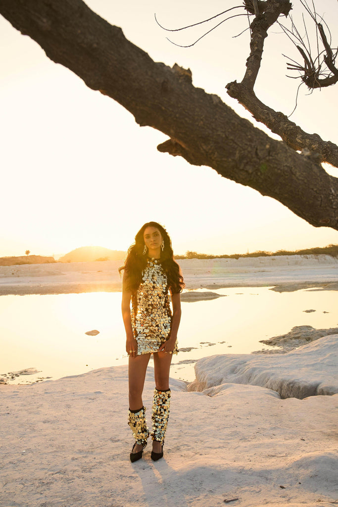 PAILLETTE DRESS & LEGWARMERS SET - dash and dot dash and dot