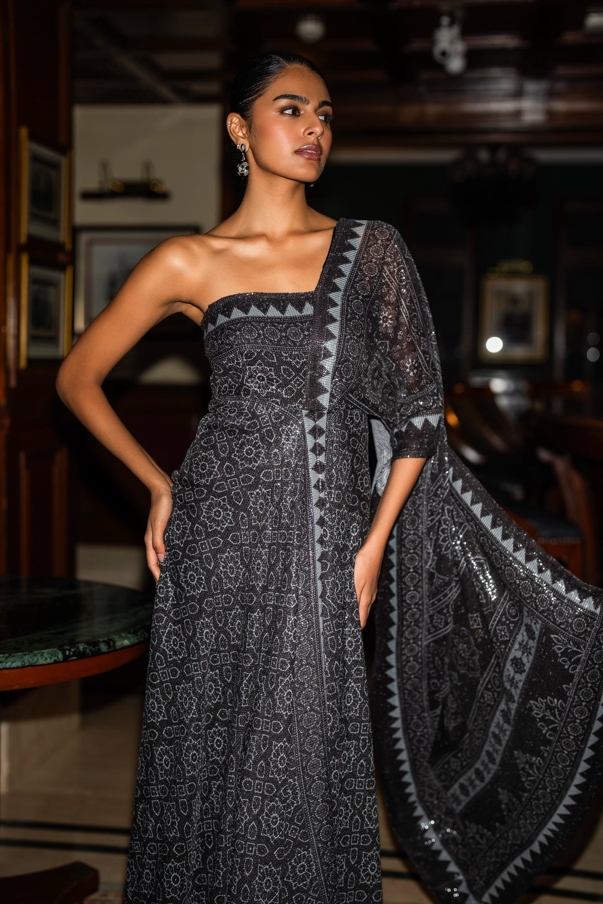 MONOCHROME MOTIF & BORDER SARI DRAPE GOWN