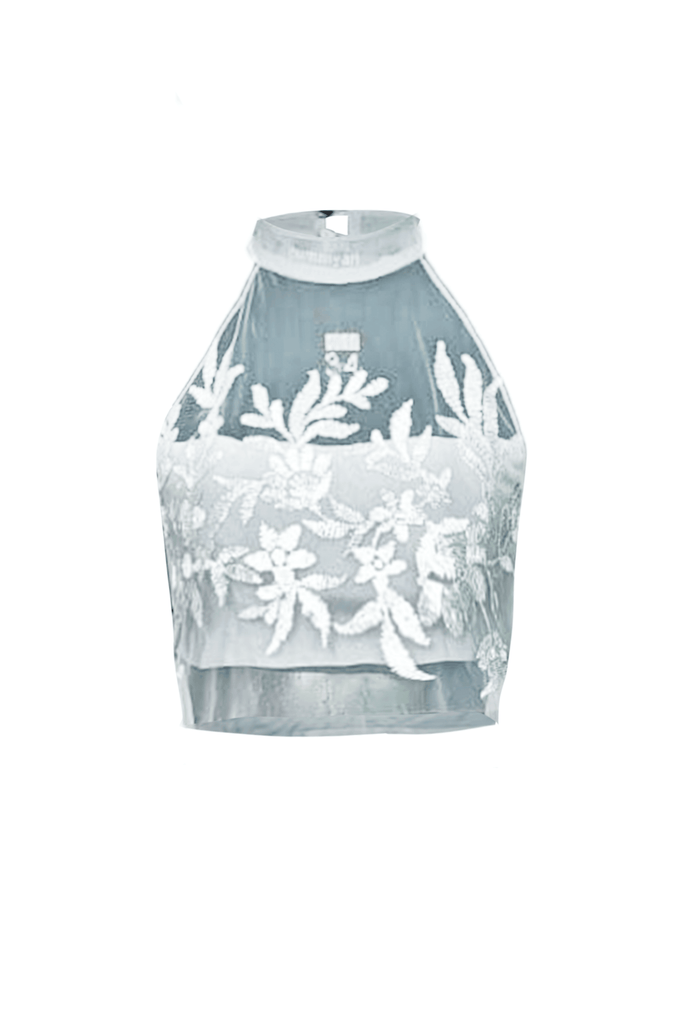 RIBBON EMBROIDERED ILLUSION NECK TOP - dash and dot dash and dot