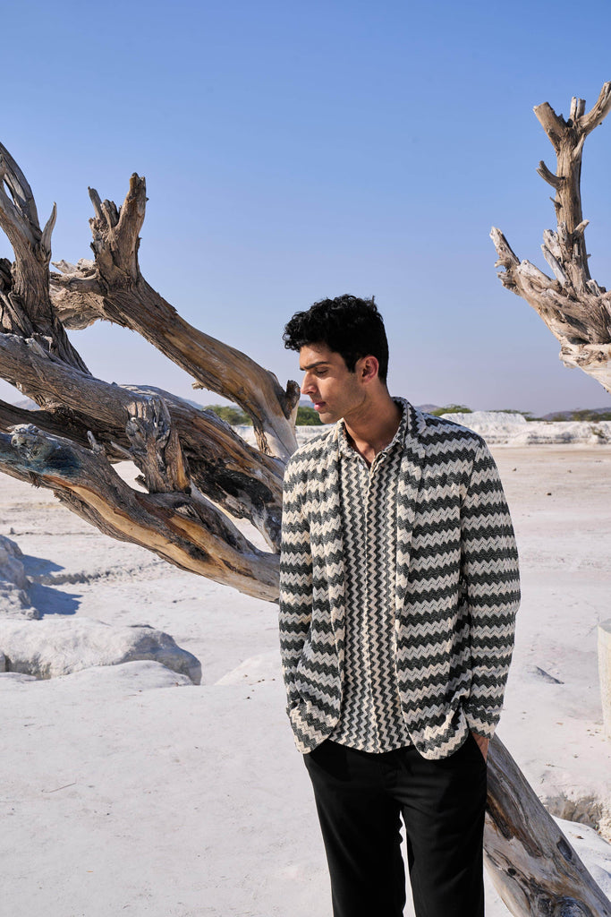 CHEVRON BLAZER - dash and dot dash and dot