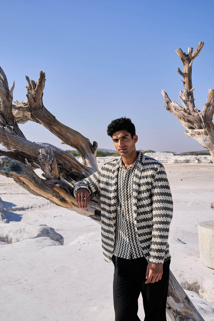 CHEVRON BLAZER - dash and dot dash and dot