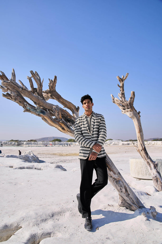 CHEVRON BLAZER - dash and dot dash and dot