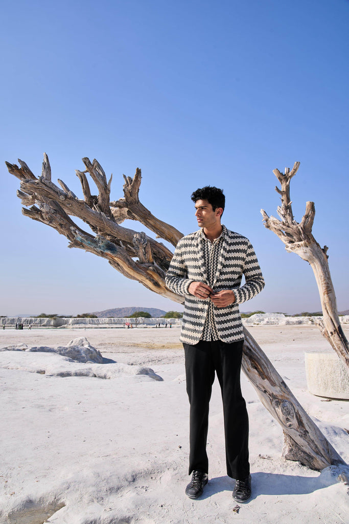 CHEVRON BLAZER - dash and dot dash and dot