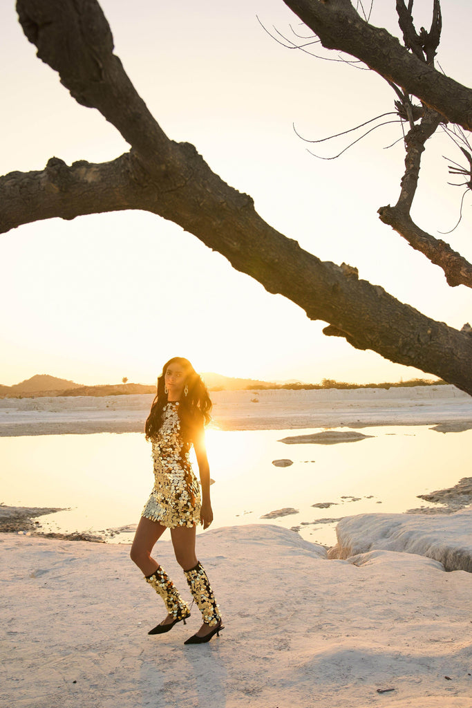 PAILLETTE DRESS - dash and dot dash and dot